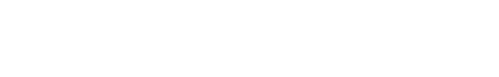 N1 Partners